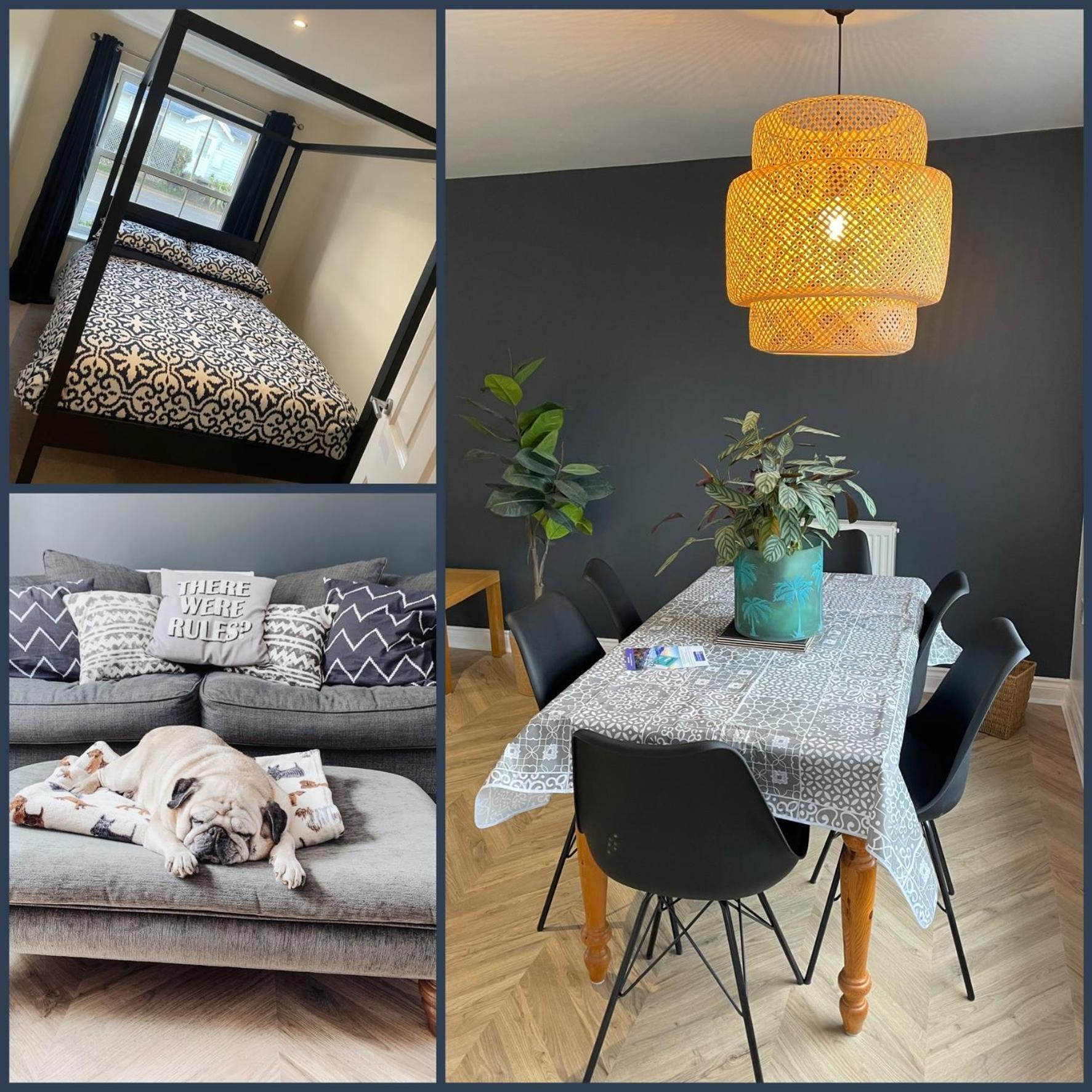 Sea-Haven On Sunrise Ground Floor Holiday Home The Bay 파일리 외부 사진